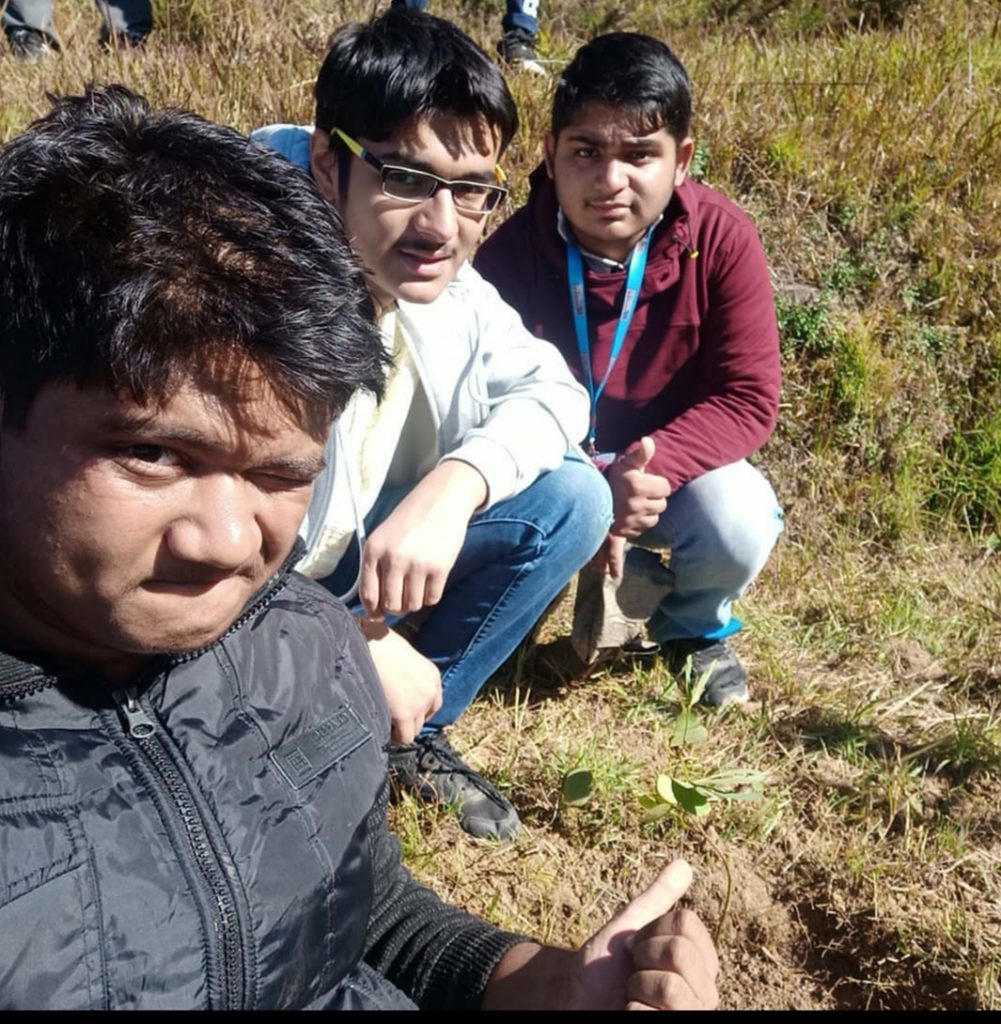 Tree plantation with group